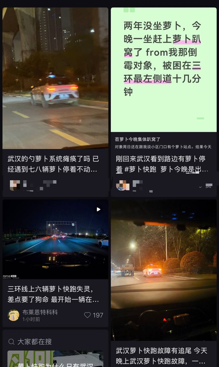 武汉萝卜快跑夜间大面积故障，多名乘客被困高架 封面