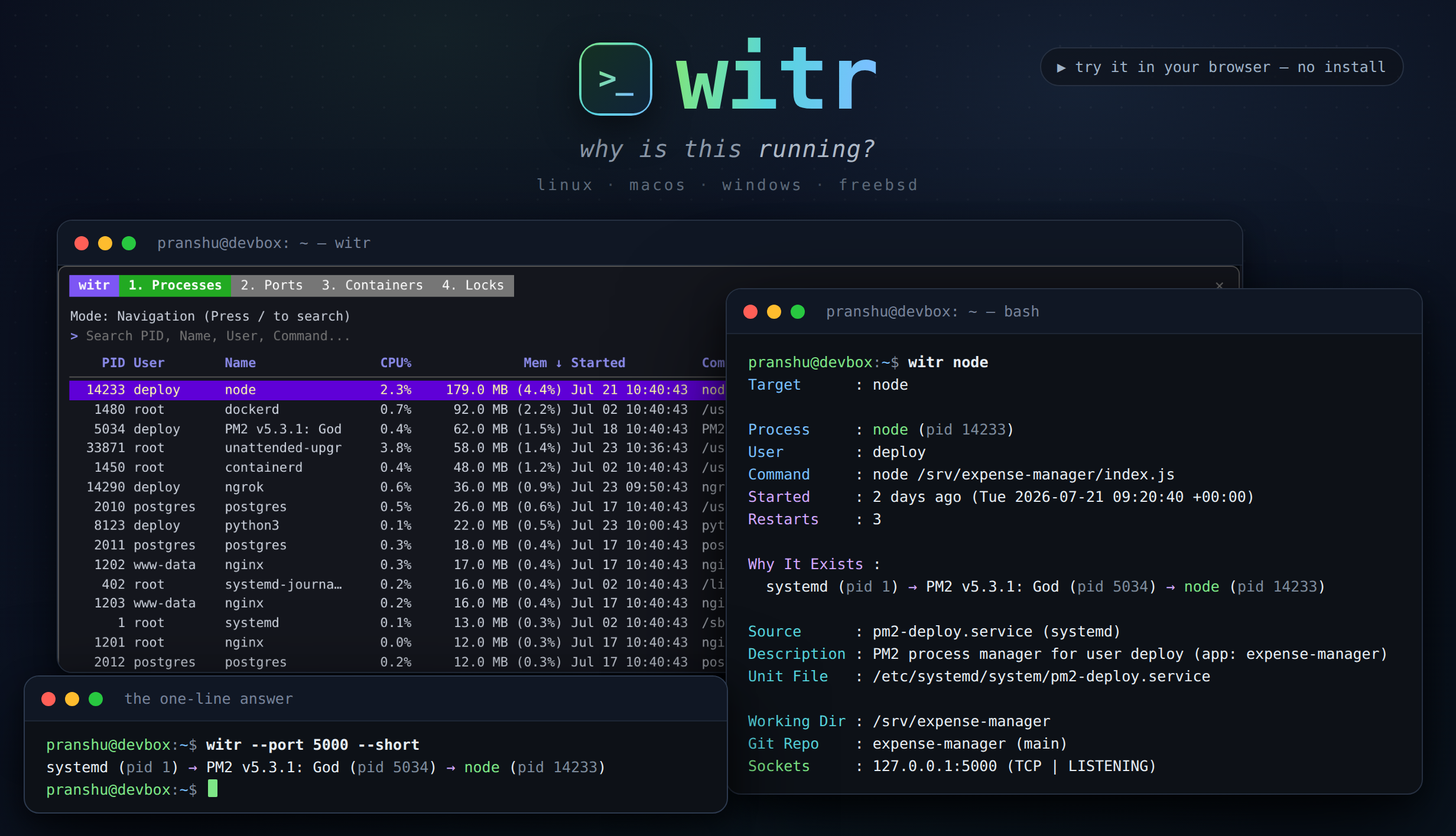 witr 的 TUI 交互界面,左侧进程列表选中 node 进程,右侧显示完整因果链和上下文