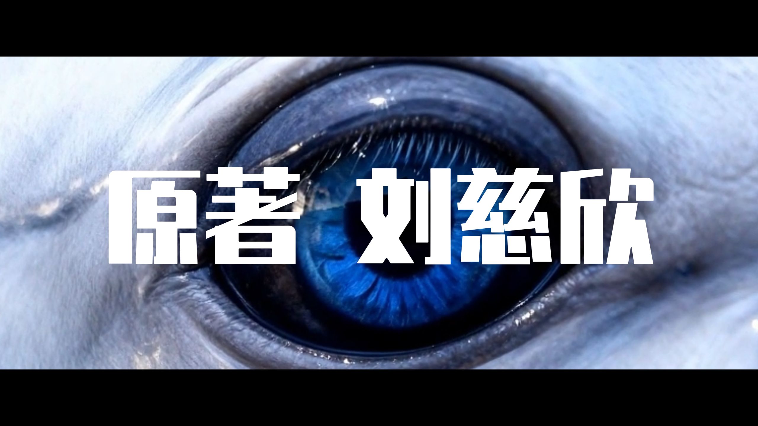 《山》封面:原著刘慈欣